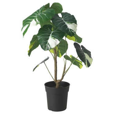 FEJKA, τεχνητό φυτό σε γλάστρα εσωτερικού/εξωτερικού χώρου/Αλοκάσια, 19 cm, 305.599.54