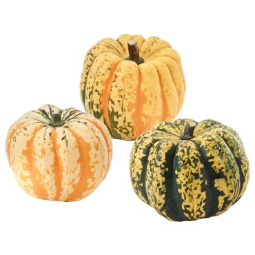 CUCURBITA, διακοσμητική κολοκύθα, 406.041.35