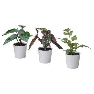 FEJKA, artificial potted plant with pot/in/outdoor/set of 3, 6 cm, 505.380.17