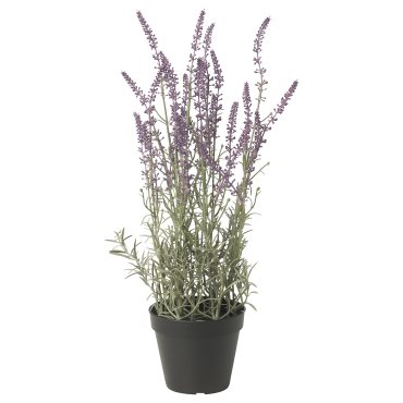 FEJKA, artificial potted plant/in/outdoor/Lavender, 12 cm, 505.716.91