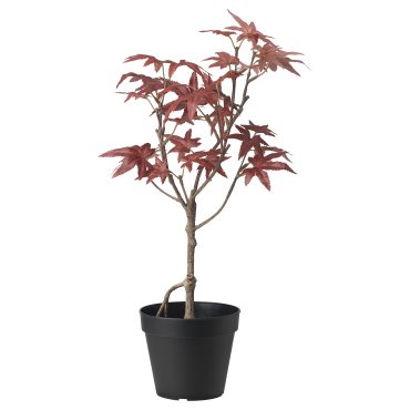 FEJKA, artificial potted plant in/outdoor/maple, 12 cm, 605.599.57