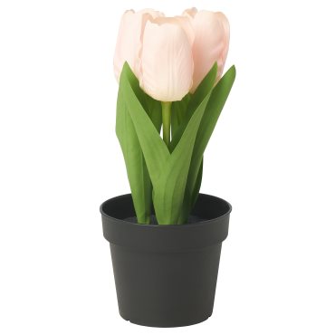 FEJKA, artificial potted plant/in/outdoor/tulip, 9 cm, 605.716.81