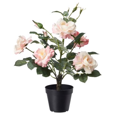 FEJKA, artificial potted plant/in/outdoor/Rose, 12 cm, 905.327.73