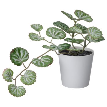FEJKA, artificial potted plant with pot/in/outdoor, 6 cm, 905.380.01