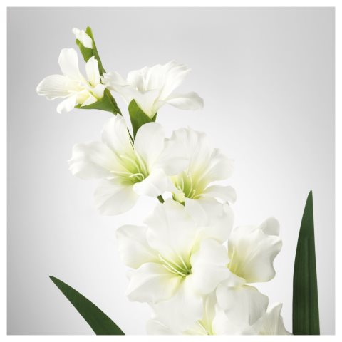 SMYCKA, artificial flower, Gladiolus, 303.335.83 - IKEA Cyprus SMYCKA, artificial flower, Gladiolus, 303.335.83
