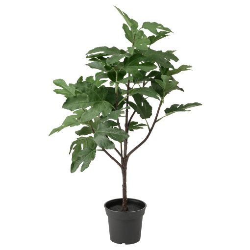 FEJKA, τεχνητό φυτό σε γλάστρα εσωτερικού/εξωτερικού χώρου/Συκιά, 15 cm, 005.064.91