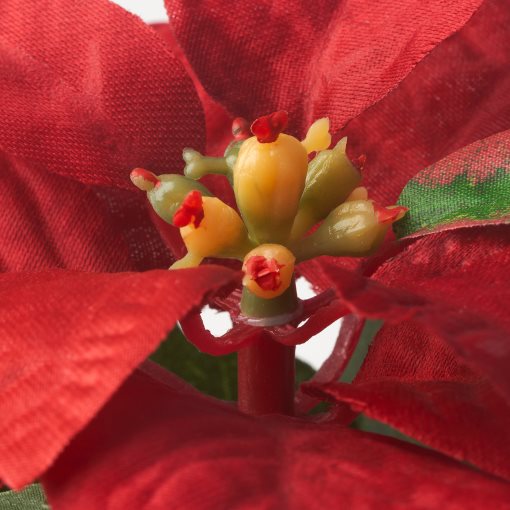 VINTERFINT, artificial potted plant with pot/in/outdoor Poinsettia, 6 cm, 005.621.37