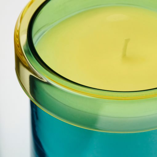 DVÄRGHÖK, scented candle in glass with lid/fig leaf, 50 hr, 006.142.78