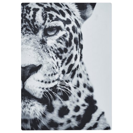 SYMFONISK, πάνελ για κορνίζα με ηχείο/Τζάγκουαρ, 105.478.63