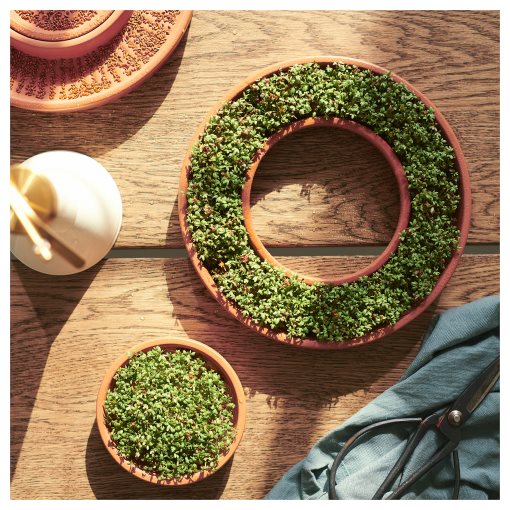 DAKSJUS, πιάτο καλλιέργειας, 2 τεμ., 105.673.04