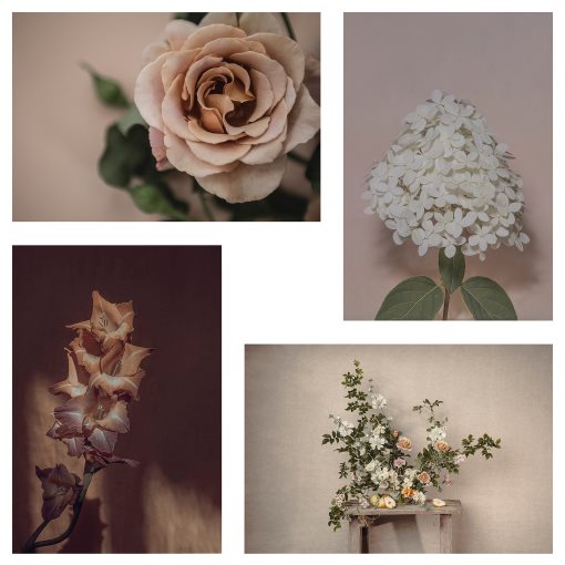 YLLEVAD, art card/flowers-blooming/4 piece, 10x15 cm, 105.788.78