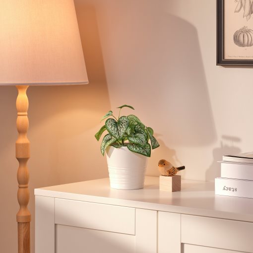 FEJKA, τεχνητό φυτό σε γλάστρα/εσωτερικού/εξωτερικού χώρου/Μπρουνέρα μη-με-λησμόνει, 9 cm, 105.825.02