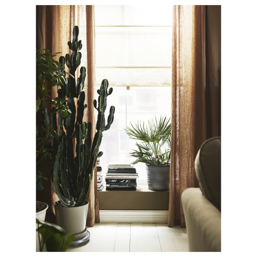 RINGBLOMMA, roman blind, 60x160 cm, 105.835.25