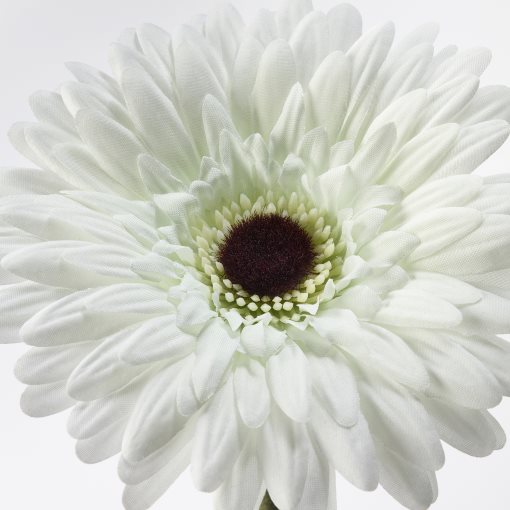 SMYCKA, τεχνητό λουλούδι, Ζέρμπερα, 204.097.95