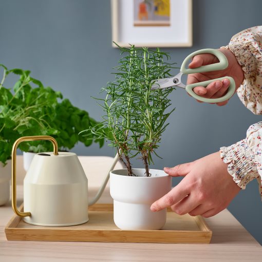 BRYTBÖNA, herb scissors, 205.359.87