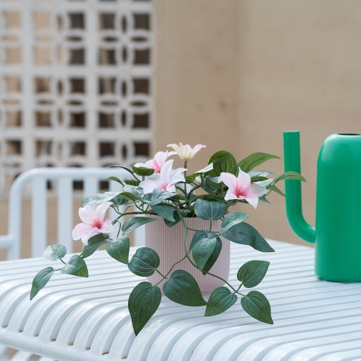 FEJKA, artificial potted plant in/outdoor clematis/hanging, 12 cm, 205.596.76