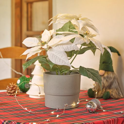 VINTERFINT, τεχνητό φυτό σε γλάστρα/εσωτερικού/εξωτερικού χώρου Αλεξανδρινό, 12 cm, 205.621.41