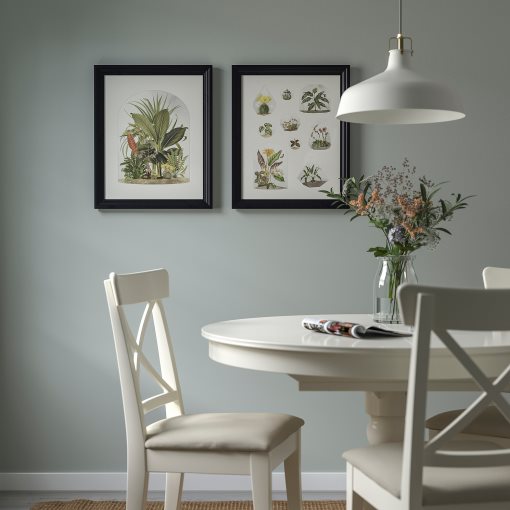 BILD, poster/Tropical terraria, 30x40 cm, 205.788.92