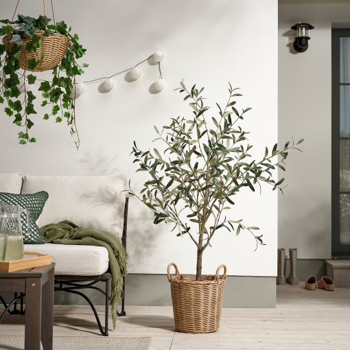 FLODBJÖRK, plant pot in/outdoor, 24 cm, 206.120.61