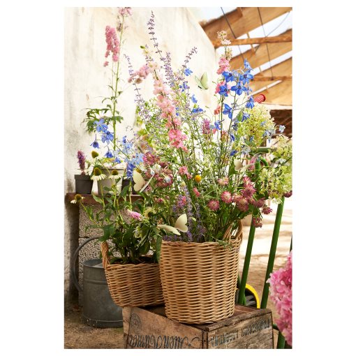 FLODBJÖRK, plant pot in/outdoor, 24 cm, 206.120.61