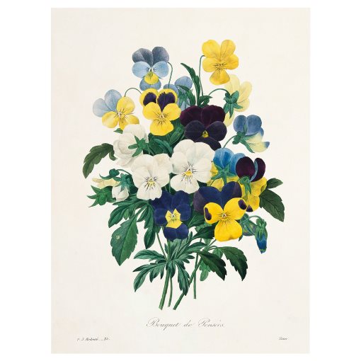 PJÄTTERYD, picture/Flowers, 30x40 cm, 206.187.46