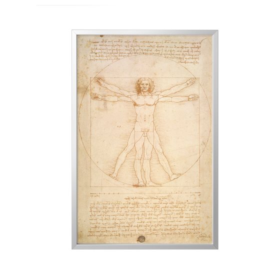 BJÖRKSTA, picture with frame/The Vitruvian Man, 78x118 cm, 293.847.57