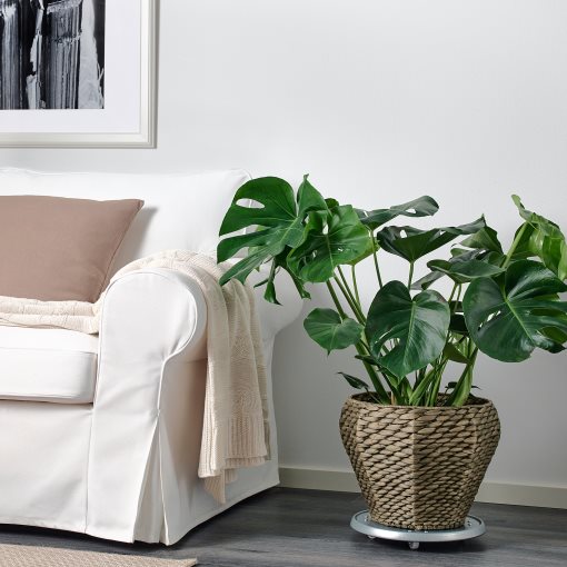 DRUVFLÄDER, plant pot, 302.336.11