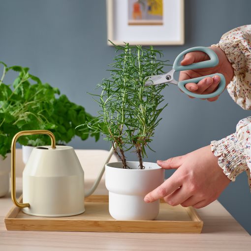 BRYTBÖNA, herb scissors, 305.607.59