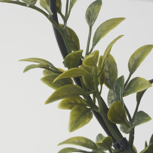 VINTERFINT, τεχνητό φυτό σε γλάστρα/εσωτερικού/εξωτερικού χώρου Μύρτος/τόξο, 9 cm, 305.621.45