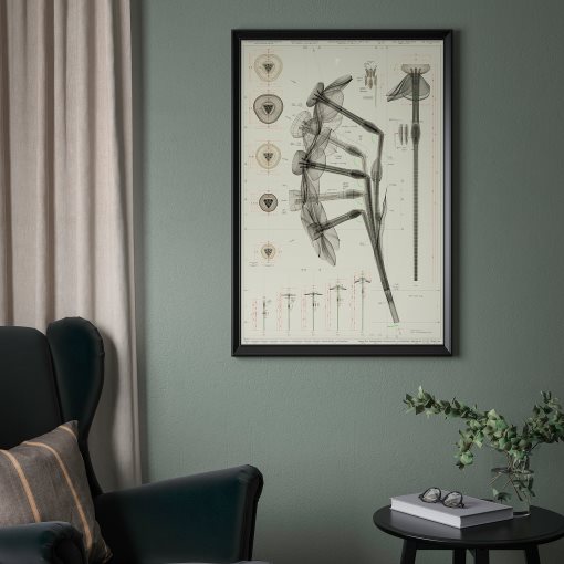 BILD, πόστερ/Νάρκισσος, 61x91 cm, 305.788.82