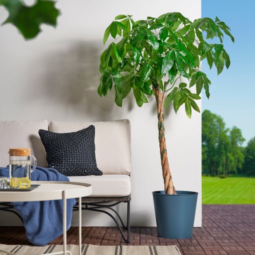 ÅKERBÄR, κασπό εσωτερικού/εξωτερικού χώρου, 32 cm, 305.847.98