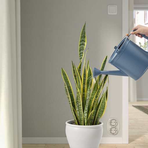 ÅKERBÄR, watering can in/outdoor, 5 l, 305.848.02