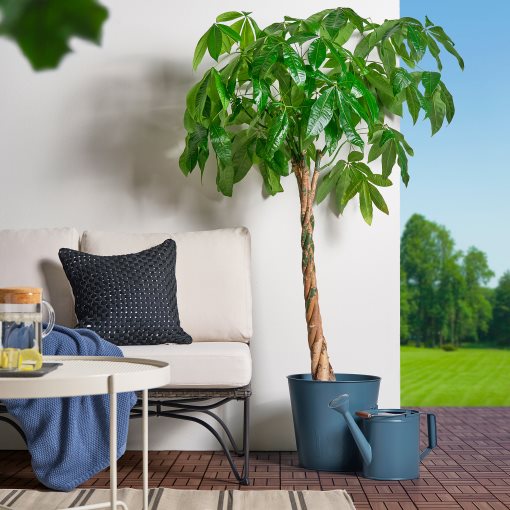 ÅKERBÄR, watering can in/outdoor, 5 l, 305.848.02