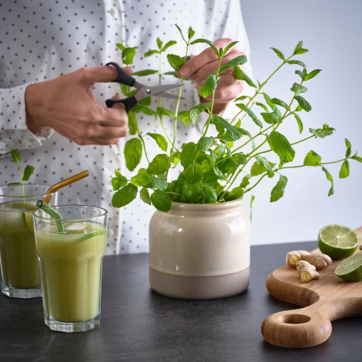 BRUGDHAJ, jar with lid, 1 l, 305.961.69