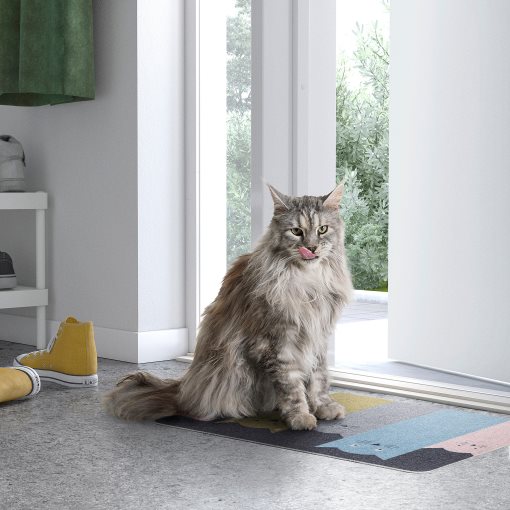 TURISTVÄG, door mat indoor, 40x60 cm, 306.050.84