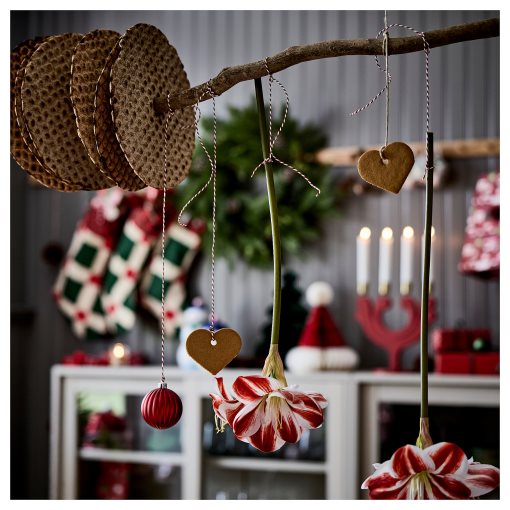 VINTERFINT, τεχνητό λουλούδι εσωτερικού/εξωτερικού χώρου Αμαρυλλίς, 60 cm, 306.066.39