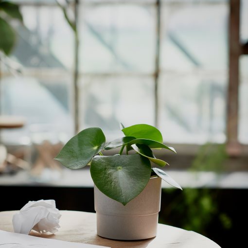 NYPON, plant pot, in/outdoor, 403.956.17