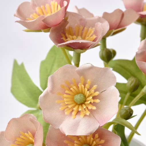 FEJKA, τεχνητό φυτό με κασπό/εσωτερικού/εξωτερικού χώρου συνδυασμός λουλουδιών, σετ 3 τεμ. 6 cm, 405.357.31