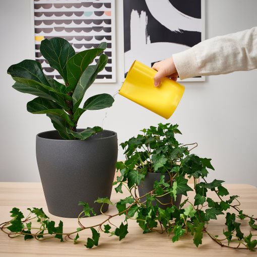 CHILIFRUKT, vase/watering can, 17 cm, 405.451.36