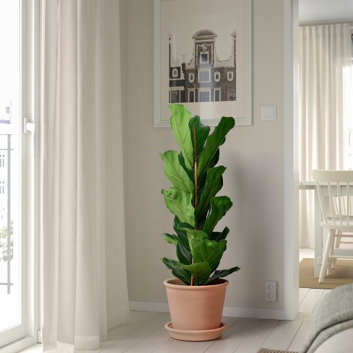 MUSKOTBLOMMA, plant pot with saucer/in/outdoor, 24 cm, 405.607.25