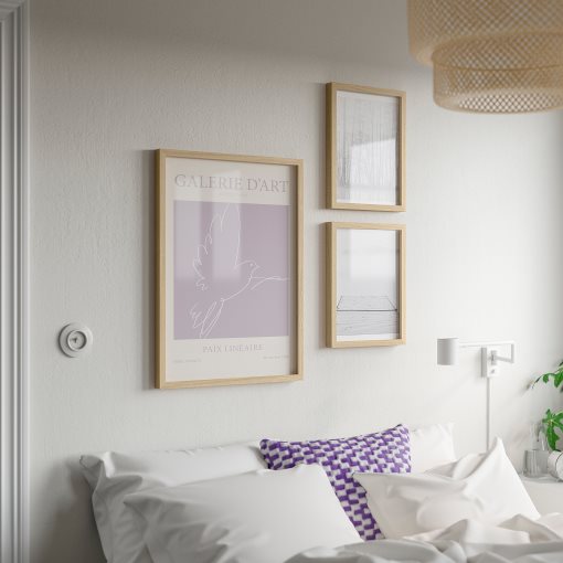 RODALM, κορνίζα με πόστερ/περιστέρι ειρήνης, 50x70 cm, 405.835.57