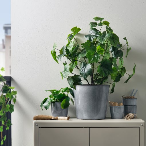 FJÄRILSBUSKE, plant pot/in/outdoor, 24 cm, 405.866.88