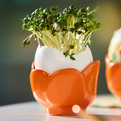 TJÄRLEK, μπολ/αβγοθήκη, 5 cm, 405.870.89