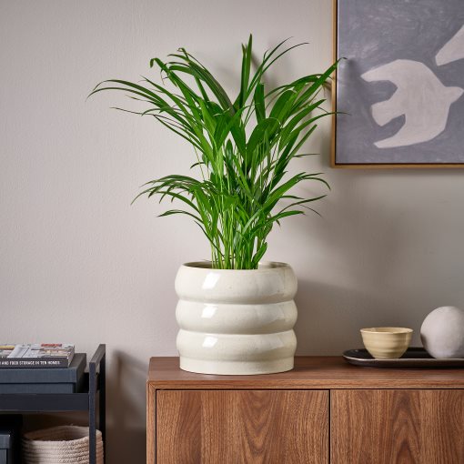 HASSELBUKETT, plant pot in/outdoor, 19 cm, 406.218.23