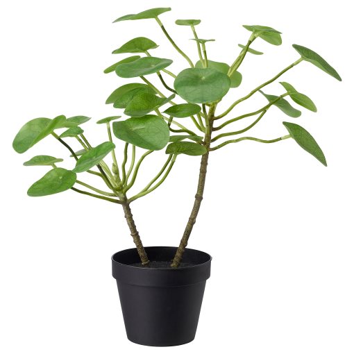 FEJKA, τεχνητό φυτό σε γλάστρα εσωτερικού/εξωτερικού χώρου/Πιλέα, 12 cm, 503.953.15
