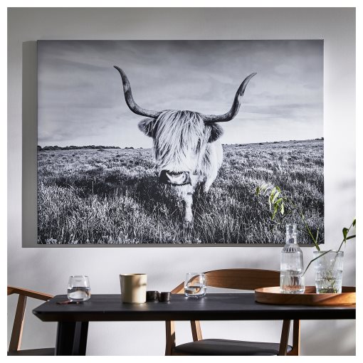 BJÖRKSTA, picture/curious cow, 140x100 cm, 505.549.03