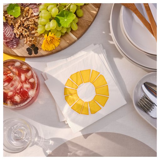 BROGGAN, χαρτοπετσέτα 33x33 cm, 30 τεμ. 170g, 505.707.76