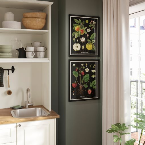 KNOPPÄNG, frame with poster/vintage botanical fruit charts, 40x50 cm, 505.788.95