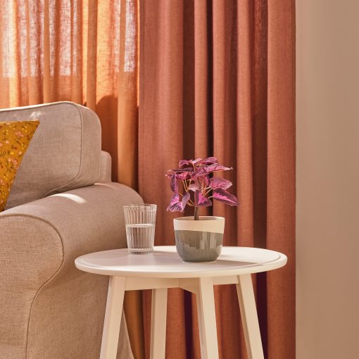 FEJKA, τεχνητό φυτό σε γλάστρα/εσωτερικού/εξωτερικού χώρου/ωραιόφυλλο, 9 cm, 505.825.00