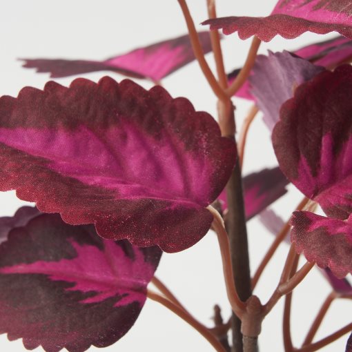 FEJKA, τεχνητό φυτό σε γλάστρα/εσωτερικού/εξωτερικού χώρου/ωραιόφυλλο, 9 cm, 505.825.00